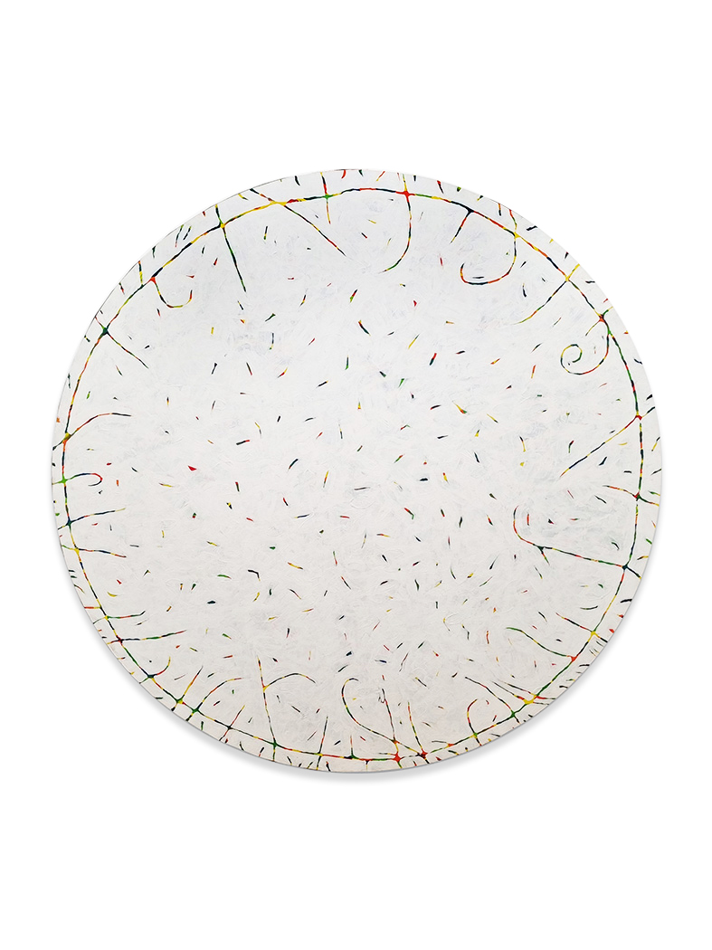 Carlo Pizzichini, Micromacro cosmo, tecnica mista su tavola, diam. cm.160