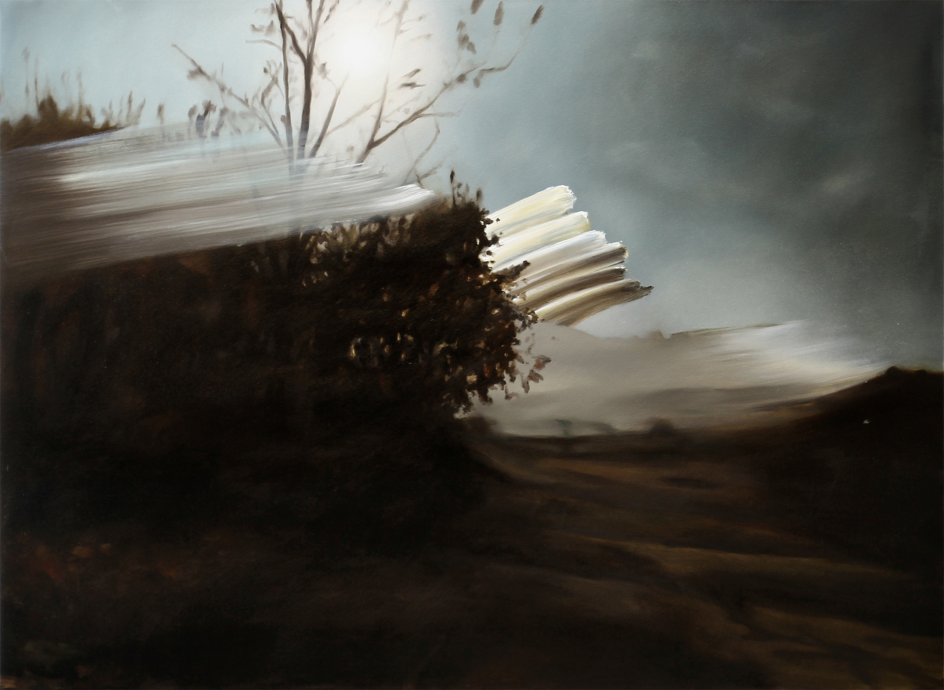 The artworks by Thomas Riess