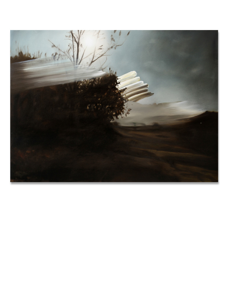Dipinti di Thomas Riess